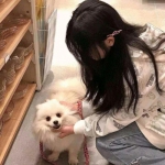 宝宝儿童动物世界游戏下载